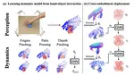 Learning Dexterous Deformable Object Manipulation Through Cross-Embodiment Dynamic Learning